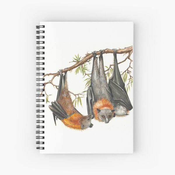 Item preview, Australian Grey-headed Flying-fox designed and sold by DrawingOnNature.