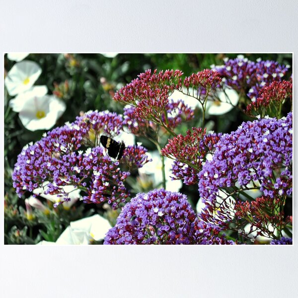 Item preview, Lavender Farm designed and sold by bsquared1007.