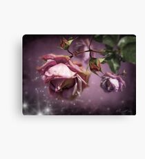 Dusky Pink Roses Canvas Print