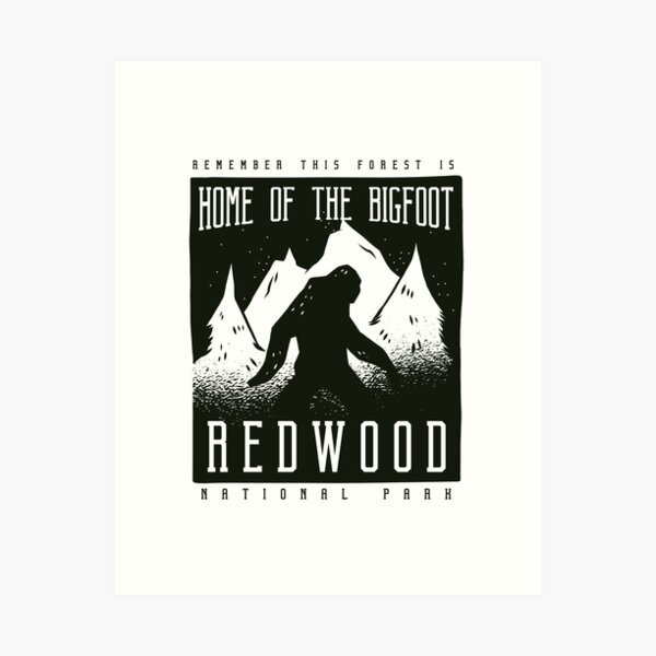 REDWOOD PARK Art Print