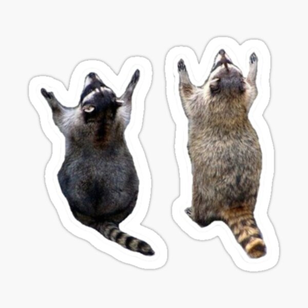 trash panda stickers Sticker