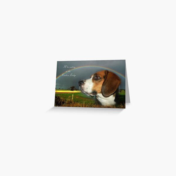Sympathy Card For Loss Of Pet Greeting Card