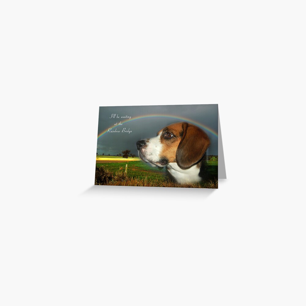 Sympathy Card For Loss Of Pet Greeting Card