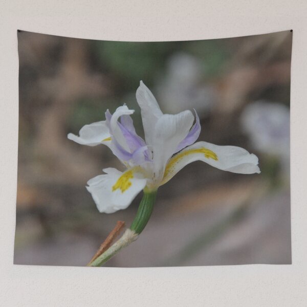 Item preview, Single Australian Native Iris designed and sold by TheWebspinner.
