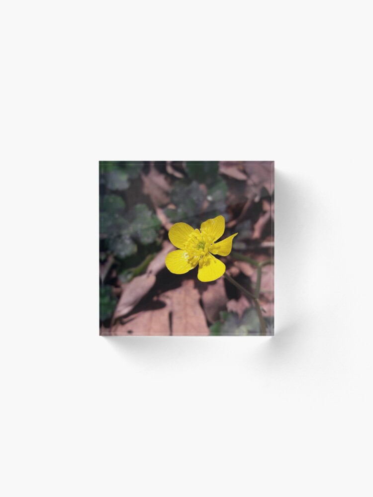 Alternate view of Poyrazlar Yellow Flower Acrylic Block