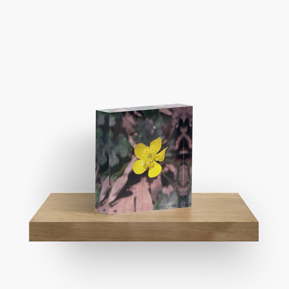Poyrazlar Yellow Flower Acrylic Block