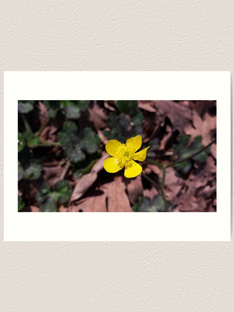 Alternate view of Poyrazlar Yellow Flower Art Print