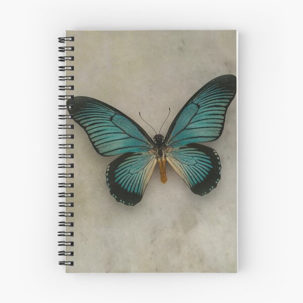 Item preview, Great Mormon Butterfly designed and sold by JBlaminsky.