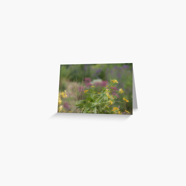 Late Summer Bouquet Greeting Card