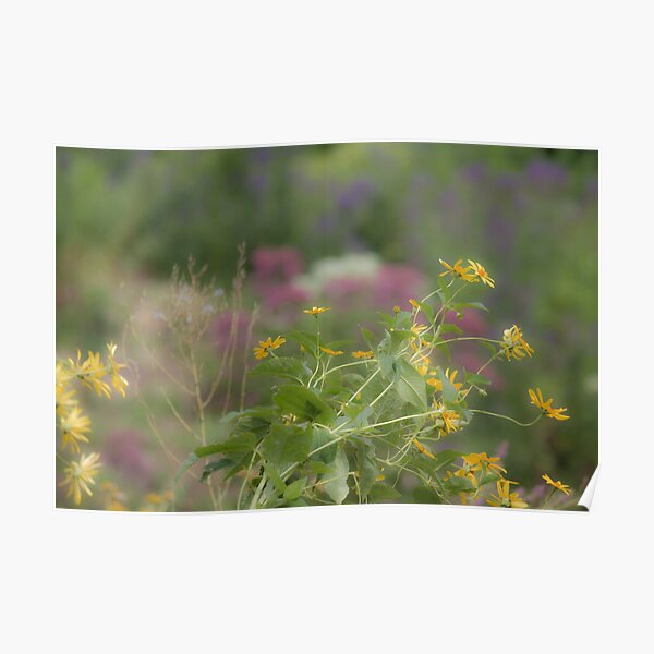 Late Summer Bouquet Poster