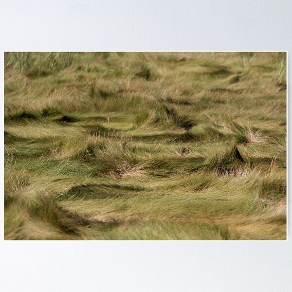 Item preview, Sand Grass designed and sold by Lynn Wiles.