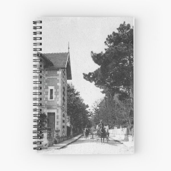 Item preview, Saint-Palais-sur-Mer 1900 designed and sold by Francois Richet.