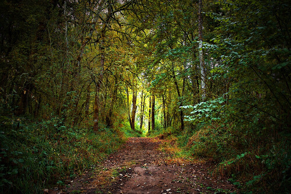  On Any Given Day By Charles Patricia Harkins Picture Oregon 