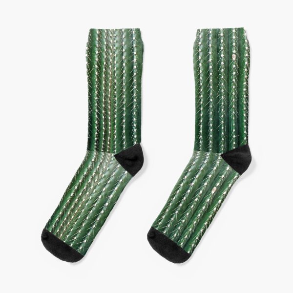 Funny Cactus Socks - Thorny Sock Socks