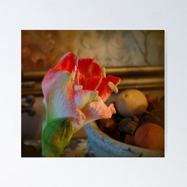 Item preview, Fancy designed and sold by Kathy Bucari.