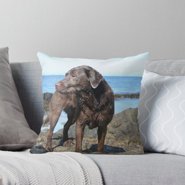 Artikelvorschau, Schokoladenlabrador am Strand entworfen und verkauft von Espirius.