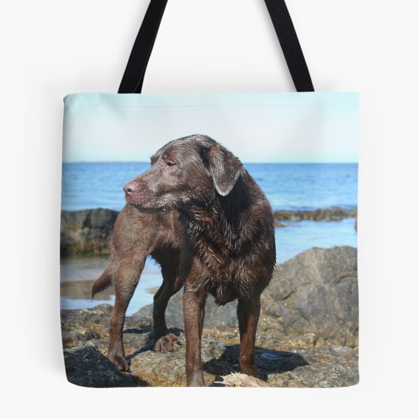Item preview, Chocolate labrador on the beach designed and sold by Espirius.