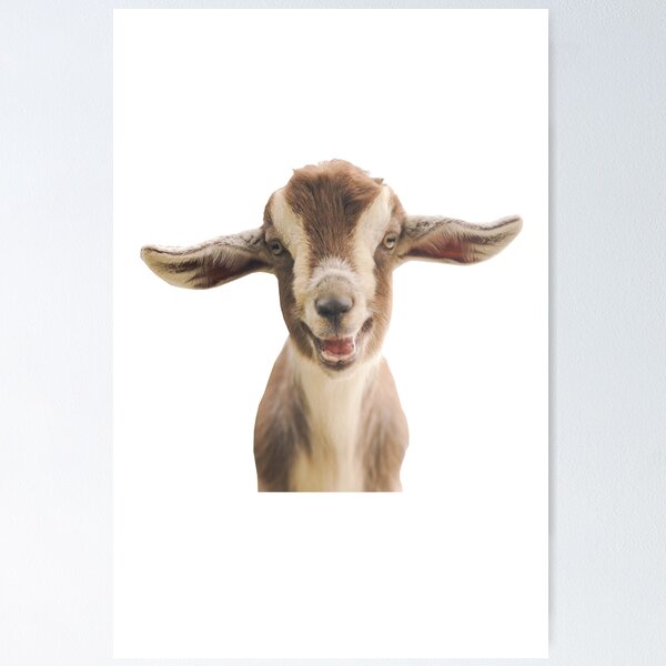 Item preview, Goat or G.O.A.T or Both designed and sold by loganferret.