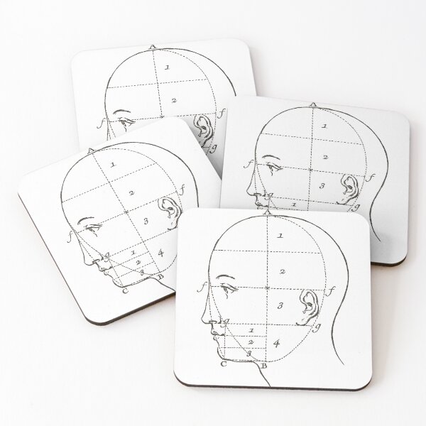 Item preview, Diagram of a Human Head Vintage French Diderot designed and sold by AntiqueImages.