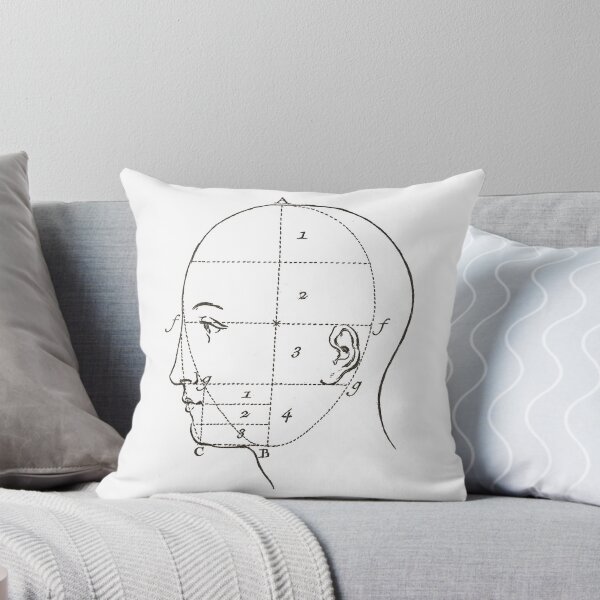 Item preview, Diagram of a Human Head Vintage French Diderot designed and sold by AntiqueImages.
