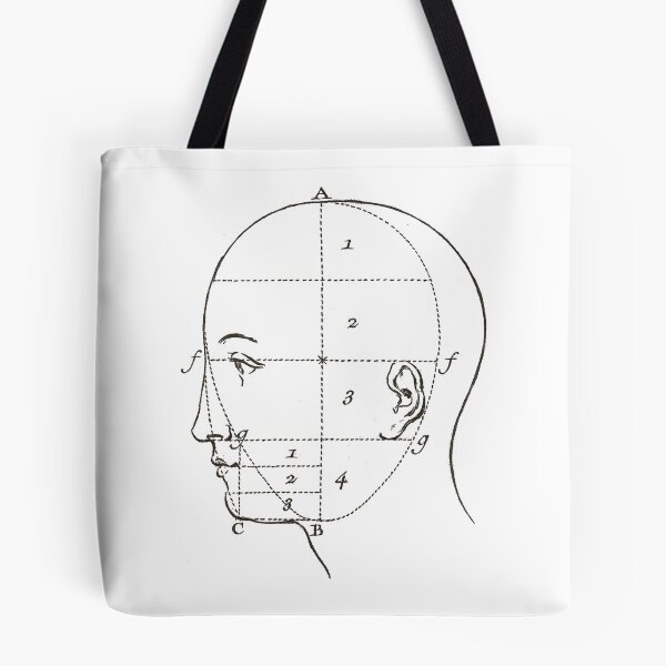 Item preview, Diagram of a Human Head Vintage French Diderot designed and sold by AntiqueImages.