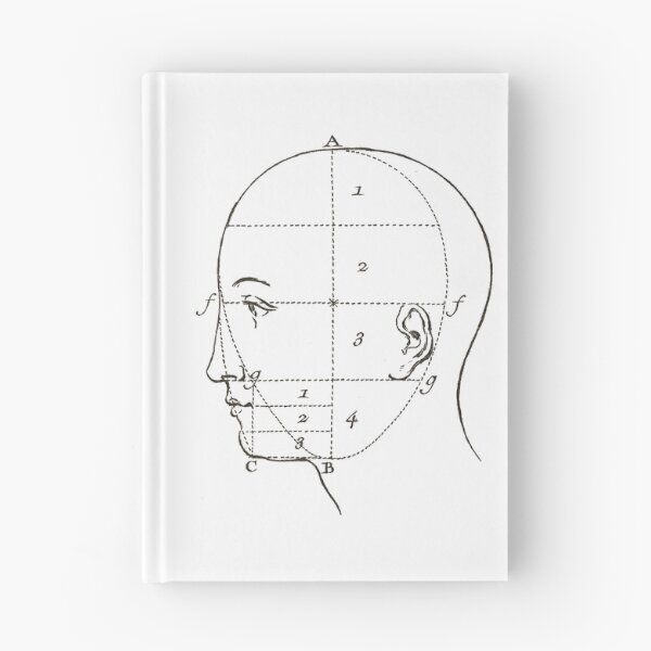 Item preview, Diagram of a Human Head Vintage French Diderot designed and sold by AntiqueImages.