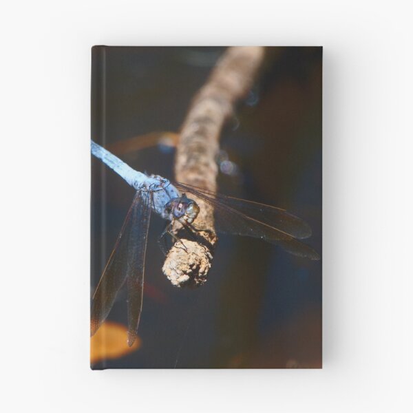 Item preview, A Blue Dragonfly With Its Head Tilted designed and sold by Jason Gilbert.