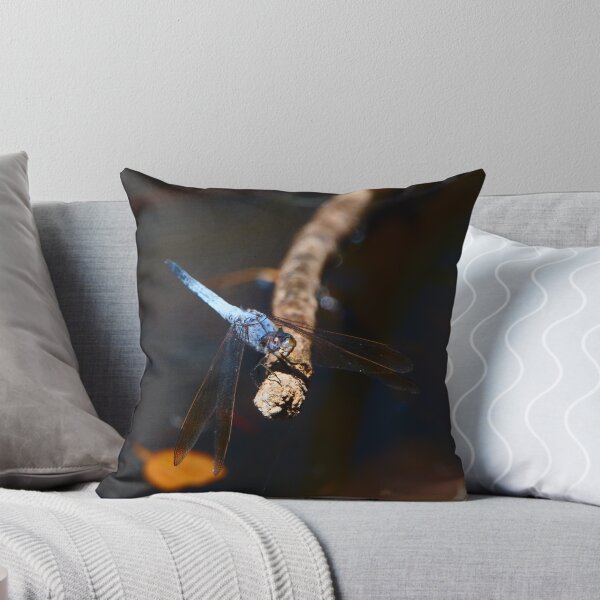 Item preview, A Blue Dragonfly With Its Head Tilted designed and sold by Jason Gilbert.