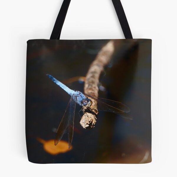 Item preview, A Blue Dragonfly With Its Head Tilted designed and sold by Jason Gilbert.
