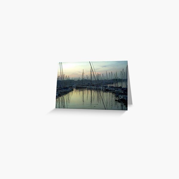 "Sailboats - Rotterdam, Netherlands" Greeting Card