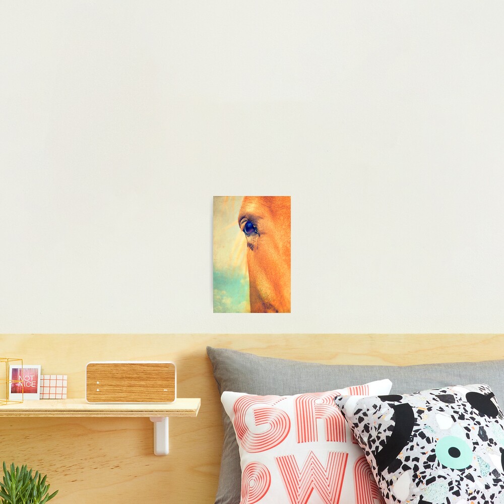 Horse Dreaming Photographic Print