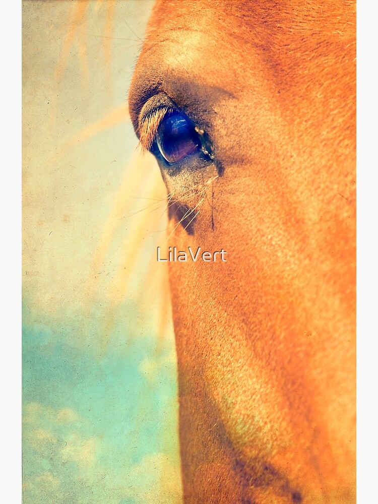 Horse Dreaming by LilaVert