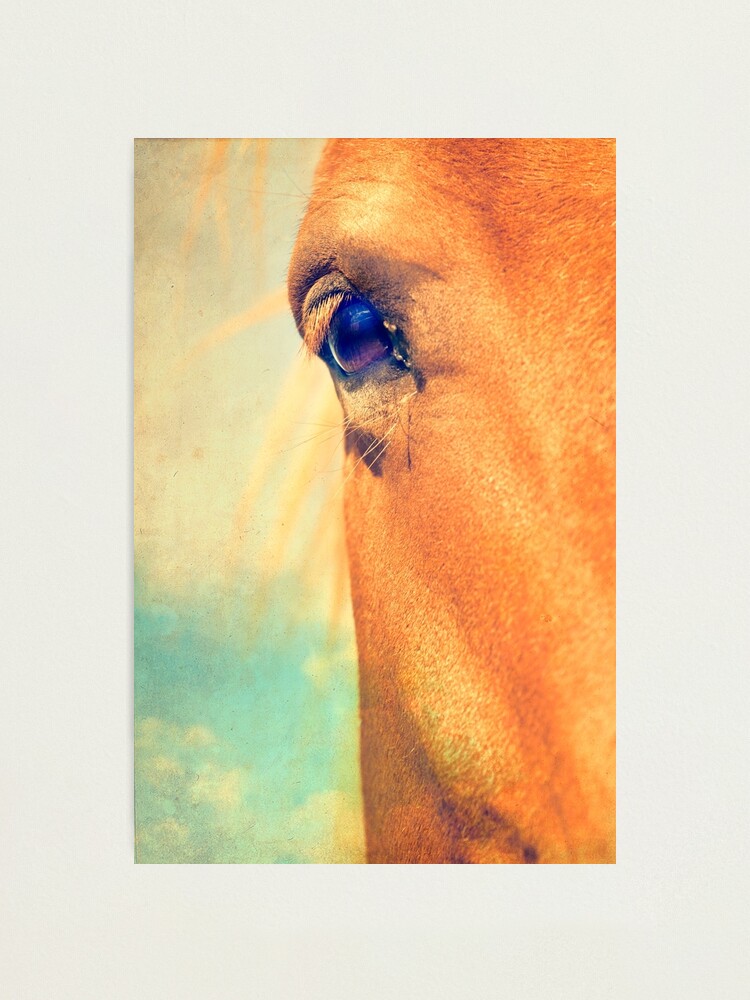 Alternate view of Horse Dreaming Photographic Print