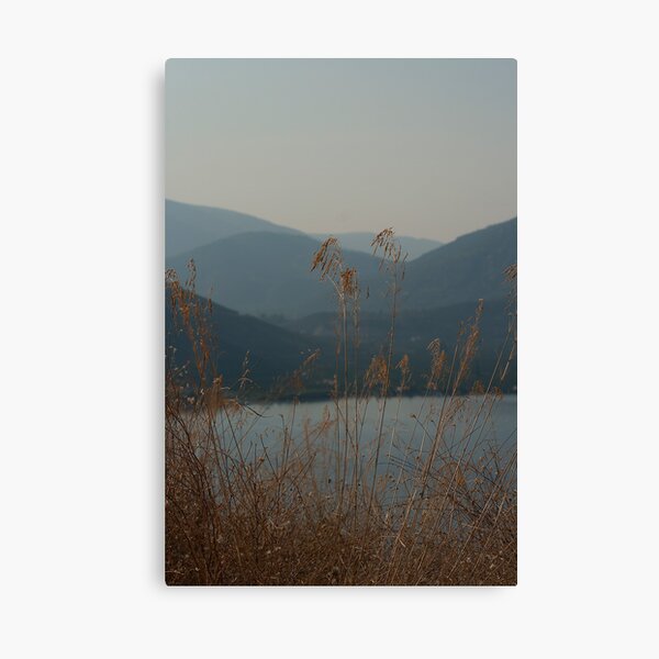 Looking over the bay Canvas Print