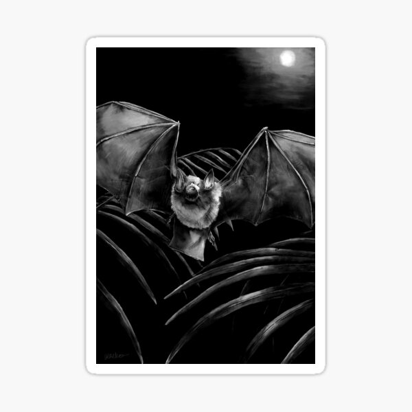 Parnell's Mustached Bat Black and White Sticker