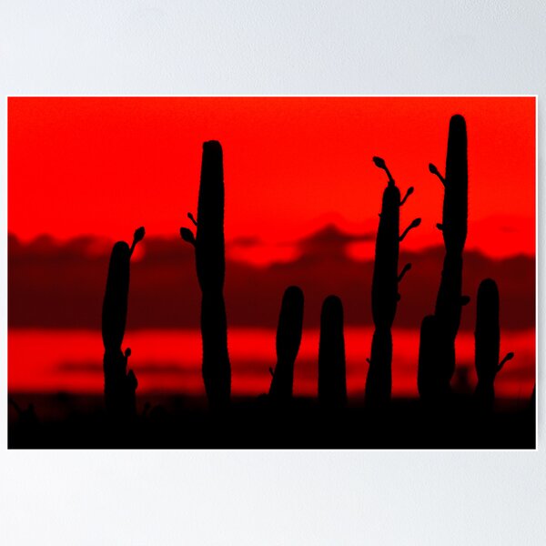 Item preview, Orange Sunset designed and sold by Mikhail Lenitsyn.