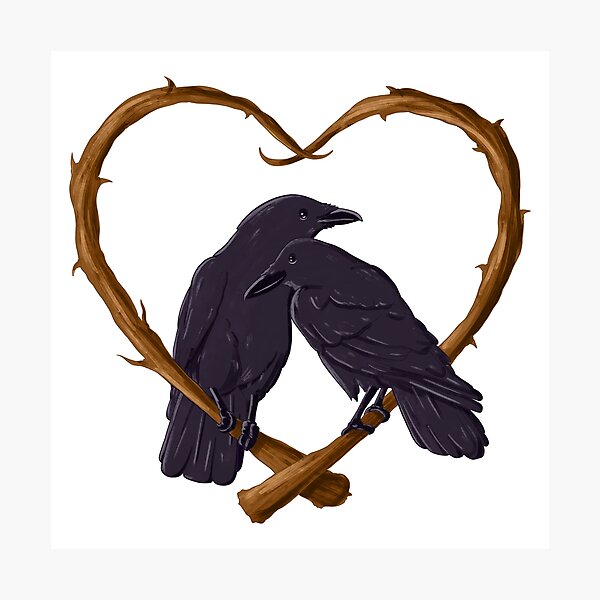 Kissing Crows Photographic Print