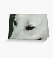 Windows Of The Soul Greeting Card