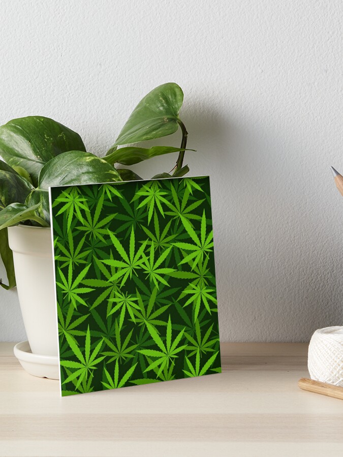 Kush KARDS Green Pot Leaf Wrapping Paper
