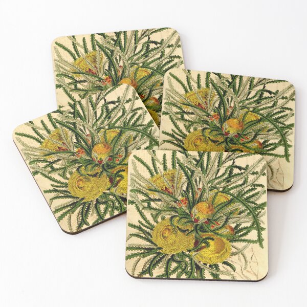 Item preview, Dryandra Formosa - Vol 70 - Curtis's Magazine designed and sold by vintagerepros.