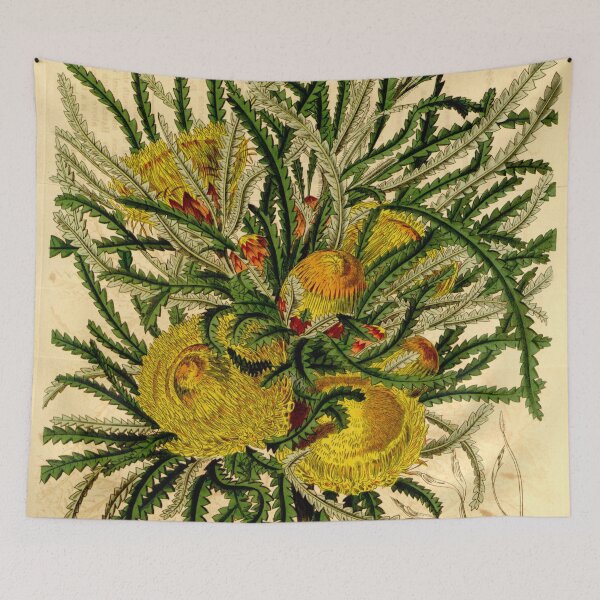 Item preview, Dryandra Formosa - Vol 70 - Curtis's Magazine designed and sold by vintagerepros.