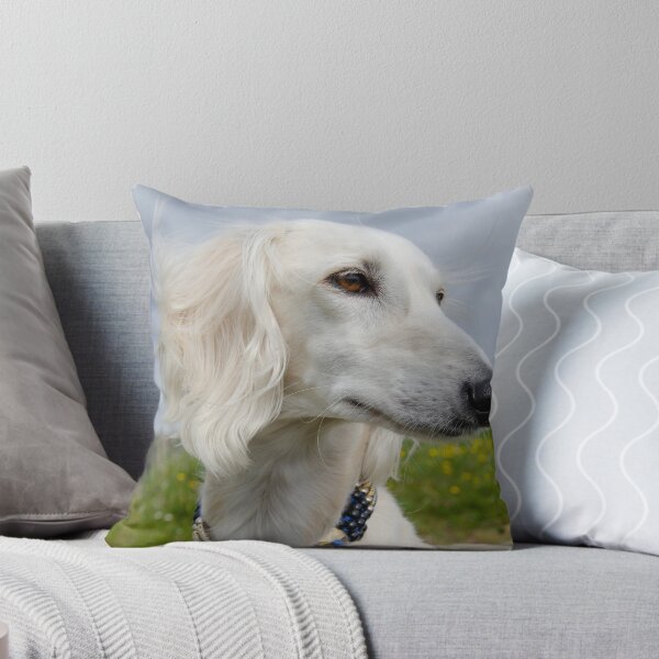 Item preview, Saluki, cream color, on look out. designed and sold by sandyprints.
