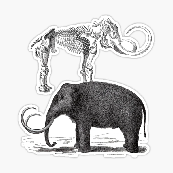 Woolly Mammoth Decal & Acrylic Blank COMBO