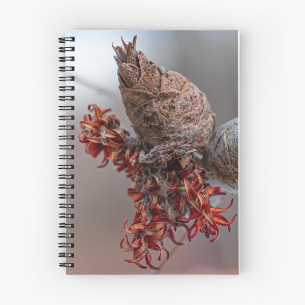 Item preview, In The Bleakness Of Winter A Hint Of Color designed and sold by Len Bomba.