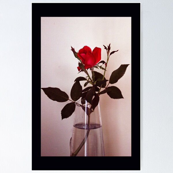 Item preview, A Single Rose designed and sold by Carolyn Ricks.