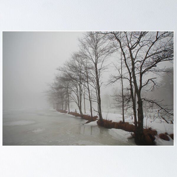 Item preview, Winter Trees designed and sold by Karol Livote.