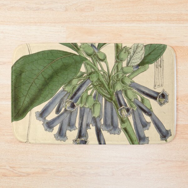 Item preview, Walter Fitch - Lochroma Cyaneum designed and sold by vintagerepros.