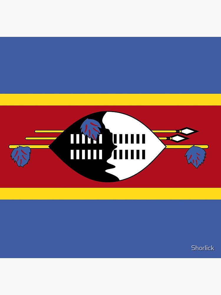 Aperçu 3 sur 3. Coussin avec l'œuvre Drapeau de l'Eswatini créée et vendue par Shorlick.