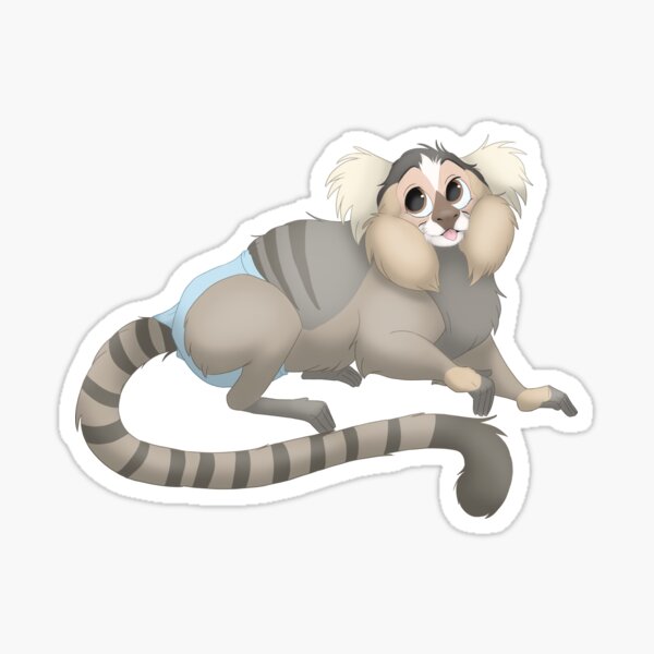 Simon the cute marmoset monkey Sticker