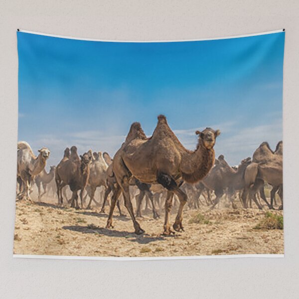 Item preview, camels designed and sold by OrionPhotograph.
